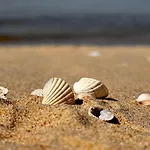 Hébergement de vacances Bosio Nad Morze