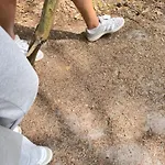 Bosio Nad Morze Sztutowo
