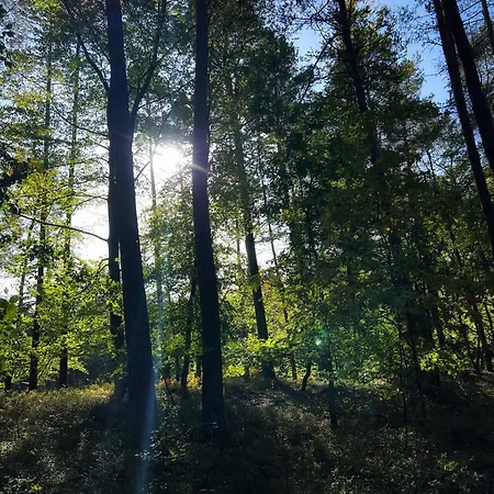 بيت للعطل Bosio Nad Morze *