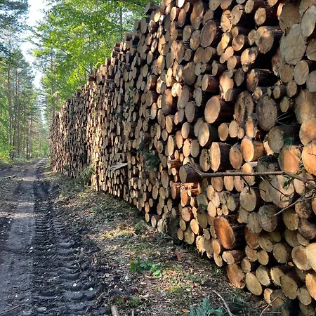 بيت للعطل Bosio Nad Morze *