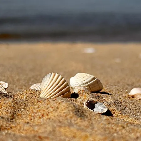 بيت للعطل Bosio Nad Morze