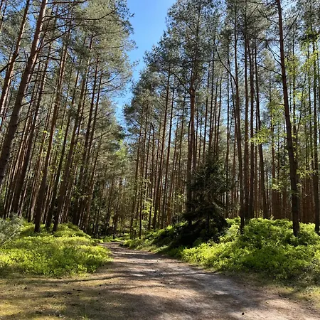 Bosio Nad Morze Ferienhaus Sztutowo