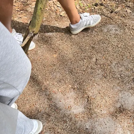 Bosio Nad Morze شتوتوفو