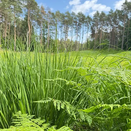 Bosio Nad Morze * شتوتوفو