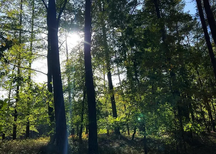 Дом отдыха Bosio Nad Morze *