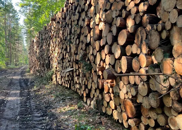 Дом отдыха Bosio Nad Morze *