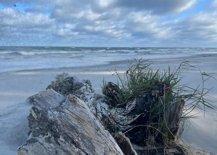 Дом отдыха Bosio Nad Morze Штутово