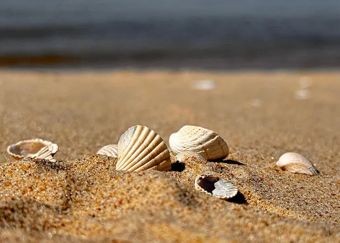 Дом отдыха Bosio Nad Morze