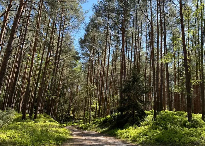 Bosio Nad Morze Дом отдыха Штутово