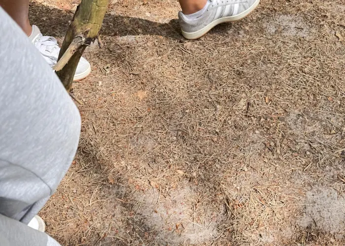 Bosio Nad Morze Штутово