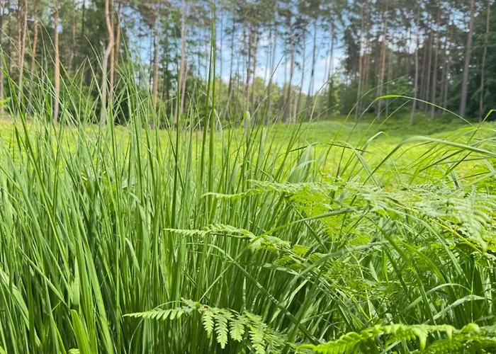 Bosio Nad Morze * Штутово